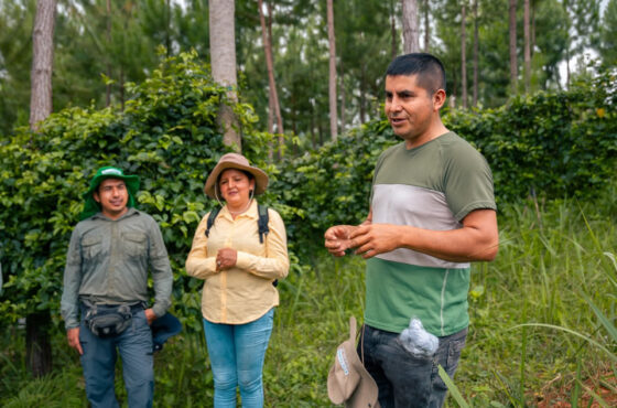 Caribbean-Andean Network of Agroforestry Farmers