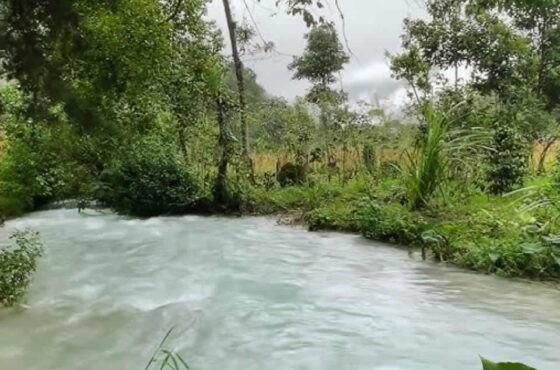 Forest Conservation and Ecosystem Services Program